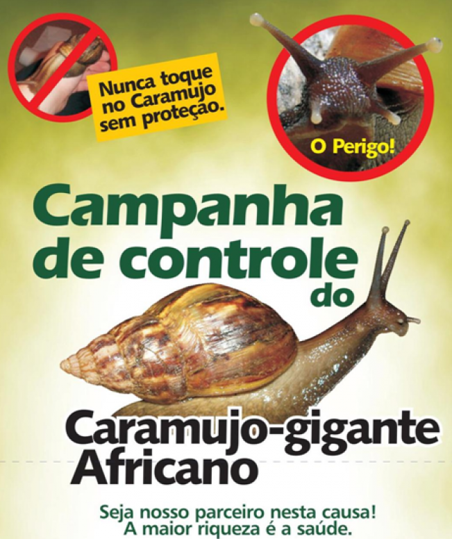 CAMPANHA DE COMBATE AO CARAMUJO AFRICANO